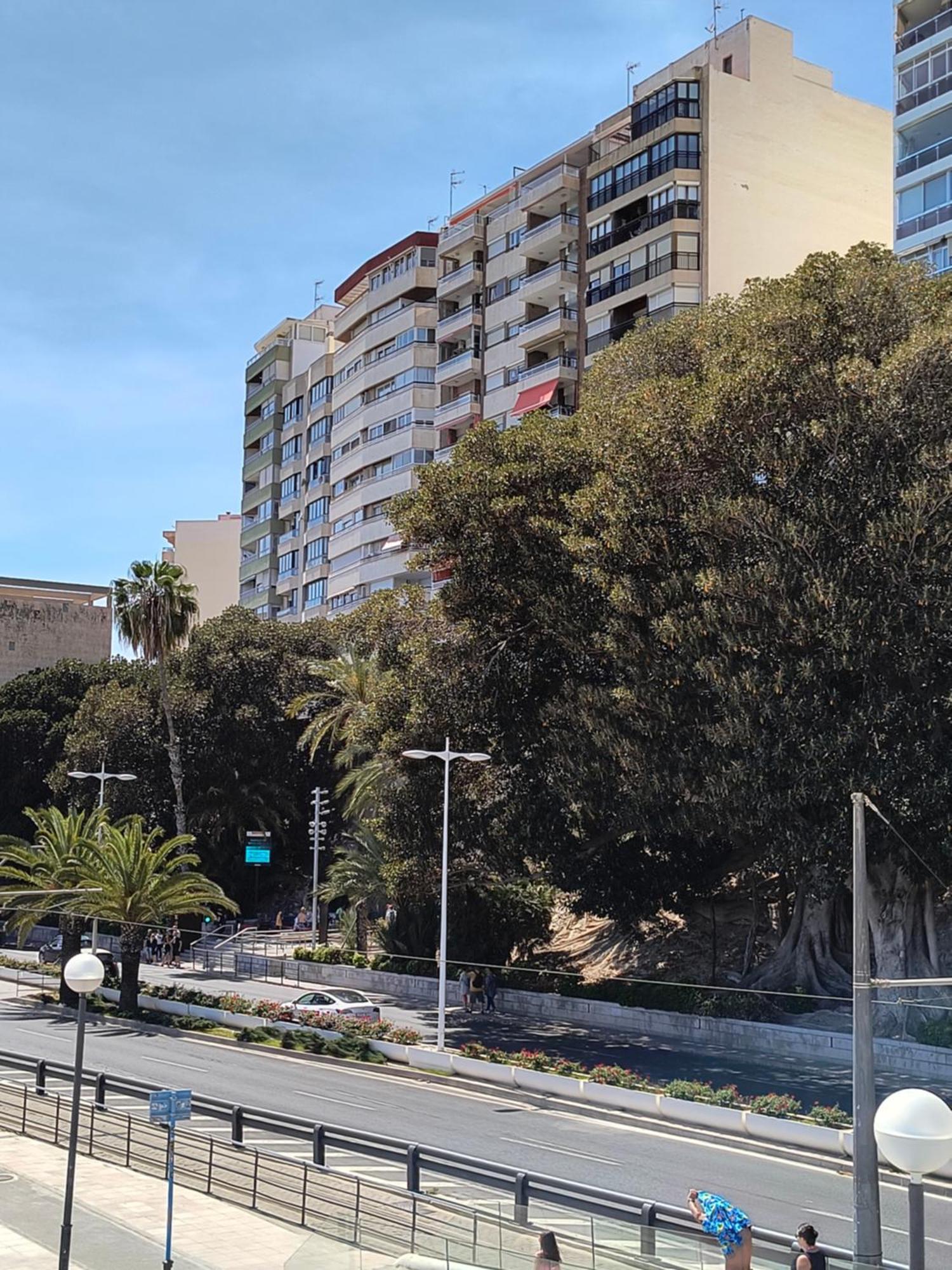 Apartamento Playa Alicante Exterior foto